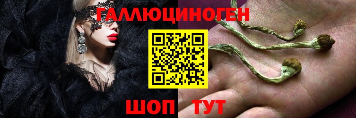 Галлюциногенные грибы GOLDEN TEACHER Мариинск
